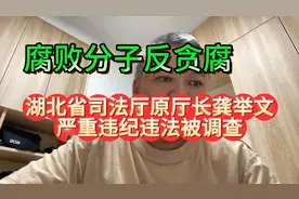腐败分子反贪腐，湖北省司法厅原厅长龚举文严重违纪违法被调查视频封面