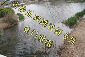 济南近郊踏青好去处，现在去不要门票！视频封面