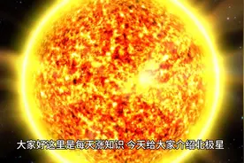 每天涨知识-北极星视频封面