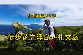 鲜为人知的北海道秘境～礼文岛。这里被称为花之浮岛，徒步很梦幻