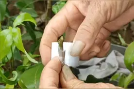 乡下农民地下活！四季农活四季愁！