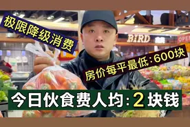 几万块买豪宅，人均一顿饭2块吃饱！90后抱团养老，消费极限降级视频封面
