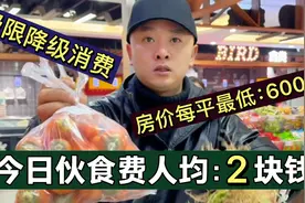几万块买豪宅，人均一顿饭2块吃饱！90后抱团养老，消费极限降级视频封面
