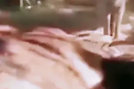 老虎与狼大战。视频封面