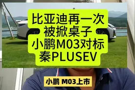 比亚迪秦PLUS被小鹏M03掀翻了！相同售价配置差别大@懂车帝原创视频封面