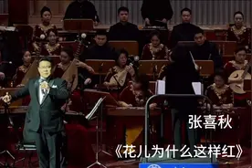 加进手鼓，塔吉克族风格就出来了……《花儿为什么这样红》张喜秋视频封面