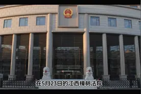 老赖现形记:老赖手机尾号88888被法拍，主动现身还钱视频封面