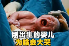 刚出生的婴儿为啥会大哭，你知道吗？视频封面