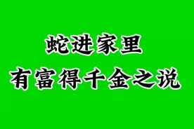 蛇进家门有富贵吉祥之意，你是会放生吗视频封面