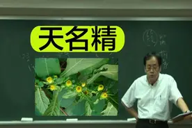 倪海厦讲本草：上品-天名精视频封面