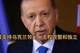 土耳其支持乌克兰领土完整视频封面