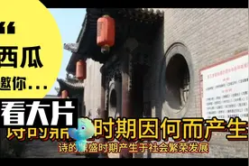 诗的鼎盛时期因何而产生？视频封面