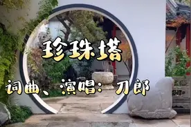 刀郎《珍珠塔》取自清代弹词作品。旋律优美，歌曲动听，值得欣赏视频封面
