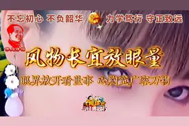 风物长宜放眼量视频封面