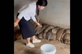 土拨鼠脾气真好，这样都不会咬人