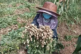 周怀林，五千年的农业税，党中央因他而取消。视频封面