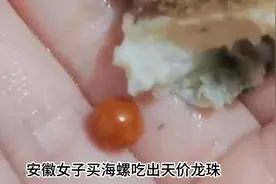 安徽女子网购海螺吃出天价“龙珠”，价值上千万，全球仅200颗视频封面