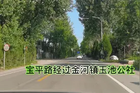 宝平路经过金河镇玉池公社，最远的16路公交，音乐虎落平阳被犬欺视频封面