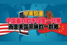 —老美带领的一群恶狼？dryh