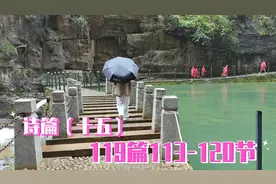 诗篇119篇（十五）113-120节