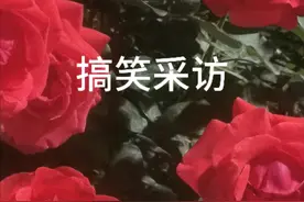 搞笑采访#女生真实想法视频封面
