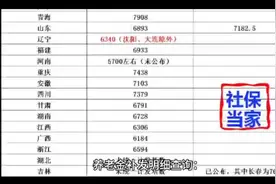 养老金明细如何查询！！来看看