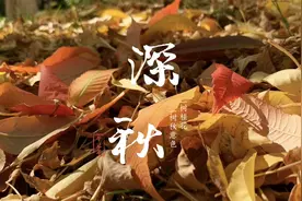 不管几岁，快乐万岁。祝你我永远年轻快乐，心宽体胖视频封面