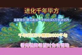 手游《妄想山海》进化千年毕方，给大家点建议！