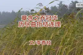 章含之与乔冠华，历尽曲折终结连理