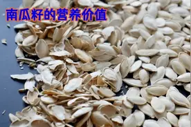 南瓜籽的主要成分及对机体功效视频封面