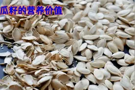 南瓜籽的主要成分及对机体功效视频封面