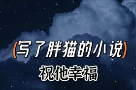 胖猫为原型，讲述过程，事件是真的，小说是编的。勿喷，希望幸福视频封面