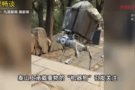 机器狗泰山驮重物轻松上山下山步伐稳健，网友：抢了挑山王的生意视频封面