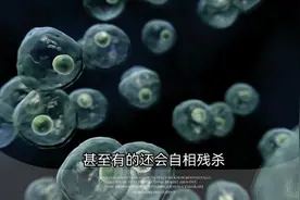 人类真正死亡是细胞互相残杀导致。