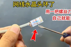 网线水晶头坏了，用一把螺丝刀自己就能换，再也不用花钱找师傅了视频封面