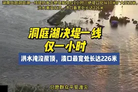 洞庭湖决堤一线，仅一小时洪水淹没房顶，决堤口宽至226米视频封面