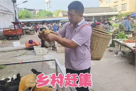 最幸福是农村赶场，赶的是家乡的味道，是乡土气息，最美人间烟火视频封面