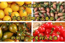 心理测试:你喜欢哪个小番茄，秒测你心中爱的人是谁视频封面