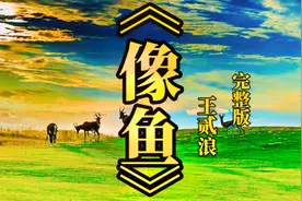 《像鱼》王贰浪完整版 如果像鱼一样只有七秒记忆 我们最想记住谁视频封面