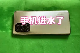 手机掉进水里怎么办？记住这5点，又能轻松用3年，一般人都想不到