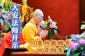 阿弥陀佛临终接引愿圆满，往生仰靠佛力加持，信愿持名一定往生。视频封面