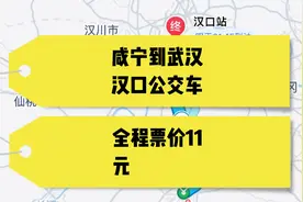 咸宁到武汉的公交车，全程票价仅需11块钱，去武汉旅游太方便了视频封面