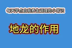 地龙的作用#中医#养生 #地龙 #中视频伙伴计划视频封面