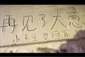 小土豆集体撤离哈尔滨？！二创素材来自网络