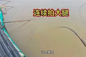 为了能钓到大鱼乌漆麻黑就到鱼排，今天不顺连续跑大鱼，大腿拍肿视频封面