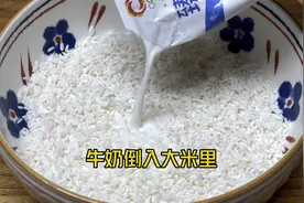 牛奶倒入大米中，不焖米饭不煮粥，出锅比蛋糕还香甜，好吃又补钙视频封面
