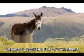 从江苏银行半年报看银行不是驴视频封面
