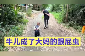 阿杰梦妍走进家门，就发现大大的惊喜，连忙感谢老妈辛苦了视频封面