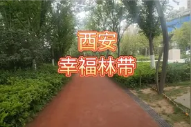 投资210亿打造的西安幸福林带，犹如原始森林，周边市民都喜欢逛视频封面