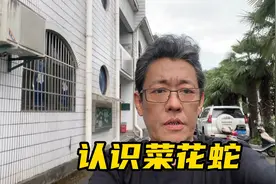 我们来认识一下大王蛇、菜花蛇、王锦蛇、黄蟒、臭菜花